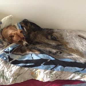 Meet your Posher, Aimee